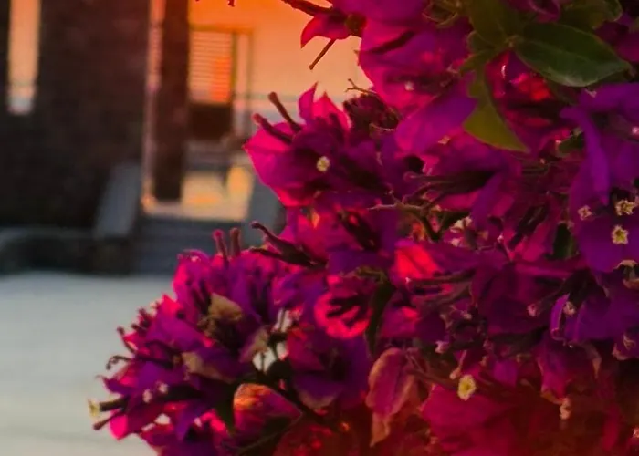 Hotel La Ponta & Akrotírion